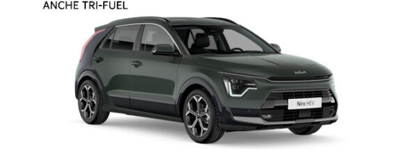 Kia Niro Asti Alessandria