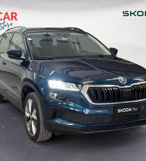 Karoq 2.0 tdi evo Executive 115cv