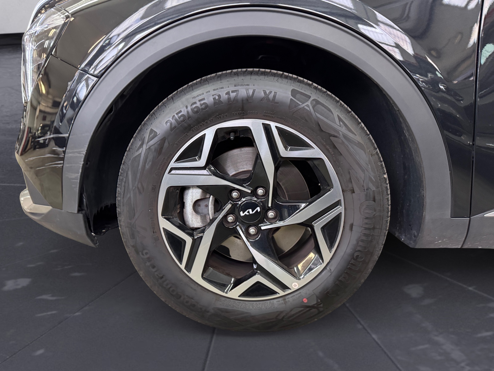 Sportage 1.6 crdi mhev Business dct IVA ESPOSTA - immagine 15