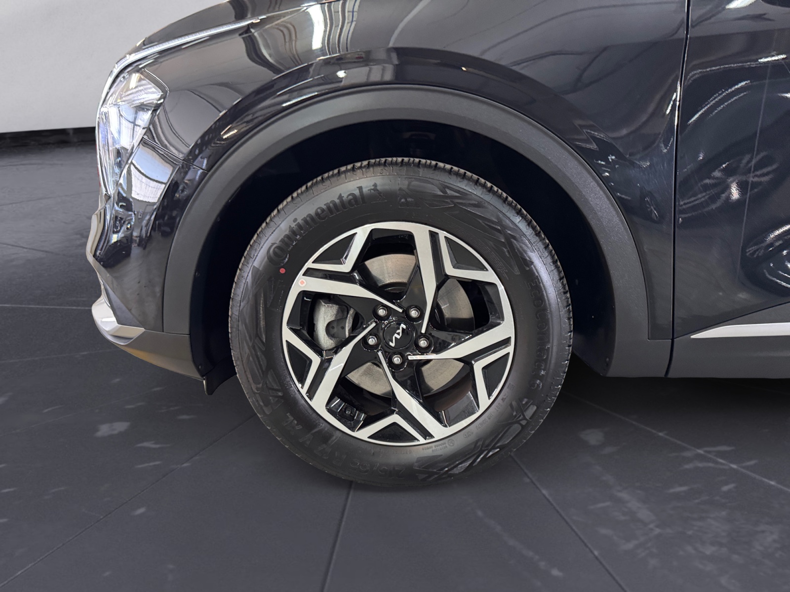 Sportage 1.6 crdi mhev Business dct IVA ESPOSTA - immagine 15