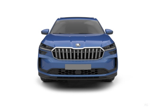 Kodiaq Style 2,0 TSI 150 kW (204 CV) 7 marce - DSG 4x4 - immagine 8