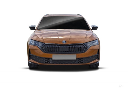 Octavia Wagon RS 2,0 TSI 195 kW (265 CV) 7 marce - DSG - immagine 6