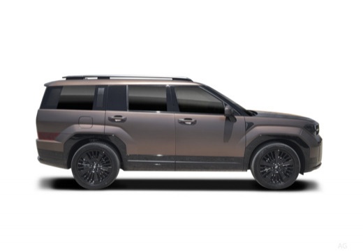 NEW SANTA FE 7P 1.6 PHEV 4WD X CLASS+CP - immagine 9